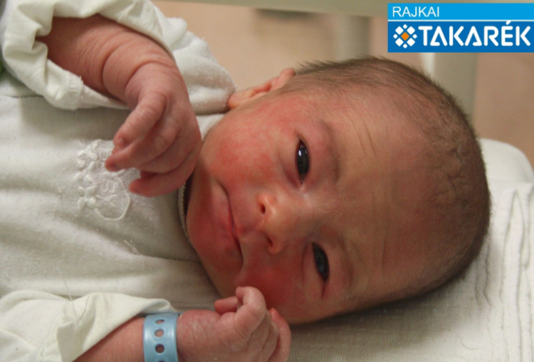 Csörgits Noel, Kapuvár