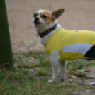 Voluta vasárnap (Fotó: Nagy Mária)