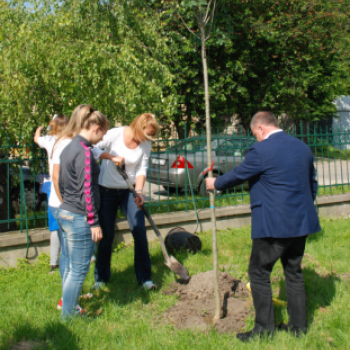 Faültetés az Idősök otthonában