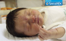 Gutléber Máté, Mosonmagyaróvár