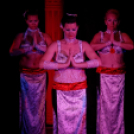 Japán Kert (Fotó: Horváth Attila)