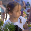 VII. Apró kezek, csodakertek Gyermek Kertépítő verseny