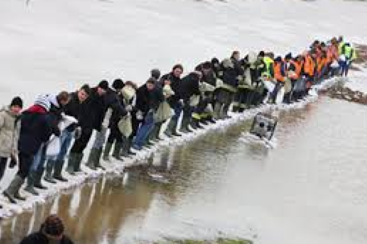 Darnózseli is segít a bajban