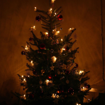 Pillangó Óvoda és Családi Napközi, Karácsonyi ünnepség (Fotó: Stipkovits Veronika)