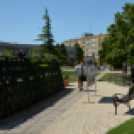 Entente Florale Day Mosonmagyaróvár - Virágzó Város Mosonmagyaróvár (Fotó: Bánhegyi István)