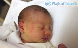 Haszonits Lilien Mia, Mosonmagyaróvár