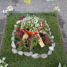 VII. Apró kezek, csodakertek Gyermek Kertépítő verseny