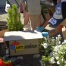 VII. Apró kezek, csodakertek Gyermek Kertépítő verseny