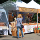 Friss Fesztivál - szombat délelőtt (Fotó: Nagy Mária)