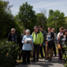 Emlékhelyek napja Mosonmagyaróvár