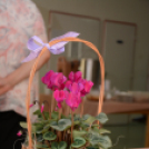 Női szűrőnapok (Fotó: Nagy Mária)