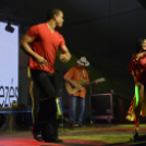 XII. Szigetköz ízei, Vármegye borai Fesztivál 2. nap