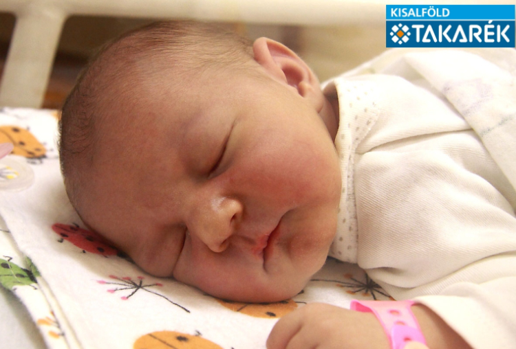 Pityer Júlia Dóra, Győr