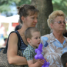 2 Kéklámpás nap (Fotó: Nagy Mária)