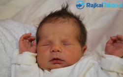 Pintér-Bujtás Bence, 2980 gr. Csorna