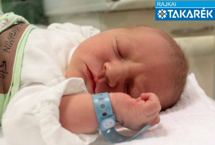 Walde Benjámin, Mosonmagyaróvár