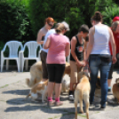 Családi nap a Gyerekek Átmeneti Otthonában