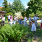 Entente Florale Day Mosonmagyaróvár - Virágzó Város Mosonmagyaróvár (Fotó: Bánhegyi István)