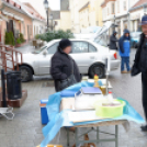 Szigetközi Szatyor - Ragyogj KÉKEN! (Fotó: Horváth Attila)