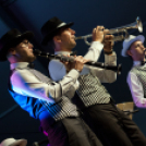 Szigetköz ízei, Vármegye borai Fesztivál - 1 nap