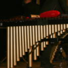 Magyar Kultúra Napja - városi ünnepség (Fotó: Stipkovits Veronika)