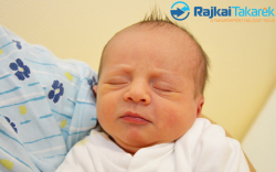 Grundtner Flórián, 3150 gr. Kimle