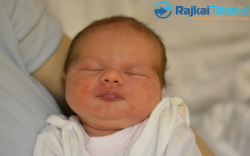 Hadar Júlia, 3290 gr. Levél