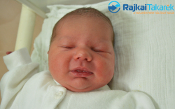 Süly Gergő, 3600 gr. Halászi