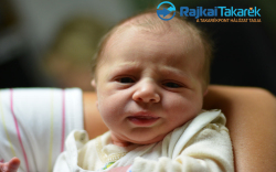 Halász Aisa, Mosonmagyaróvár