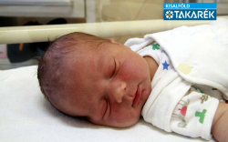 Világi Soma, Mosonszolnok