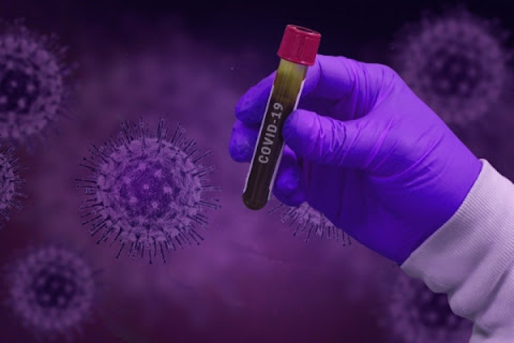 Újraindul az Oxfordi Egyetem és az AstraZeneca vakcinájának tesztelése