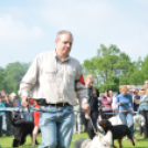 CAC kutyakiállítás (Fotó: Nagy Mária)