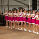 Szigetköz ízei, Vármegye borai Fesztivál - 1 nap