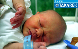 Cséfalvay András, Ásványráró