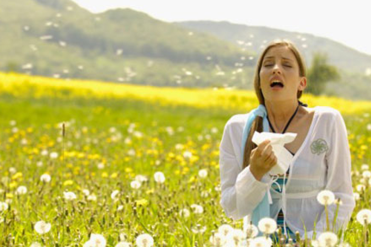 Indul az allergiaszezon