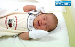 Fazekas Lana, Halászi