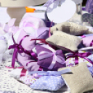 Sport és Egészségnap Mosonmagyaróvár (Fotó: Stipkovits Veronika és Bánhegyi István)