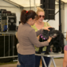 XII. Szigetköz ízei, Vármegye borai Fesztivál 3. nap