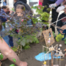 VI. Apró kezek, Csodakertek Gyermek Kertépítő verseny (Fotó: Bánhegyi István)