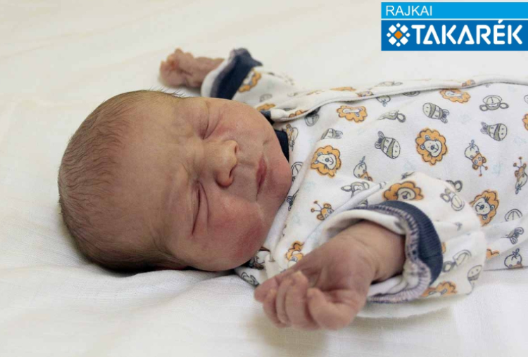 Czeferner Dávid, Mosonmagyaróvár