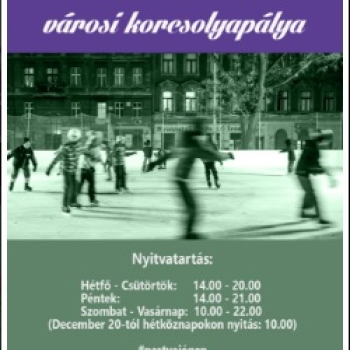 Városi korcsolyapálya