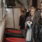 Mozaikok 2 - Takács Eszter Kiállítása