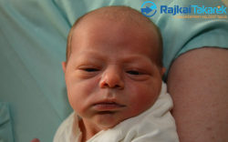 Hermans Ábel Tamás, 3040 gr. Mosonmagyaróv