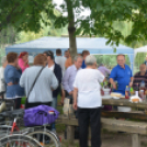 Nyárbúcsúztató Fesztivál (Fotó: Nagy Mária)