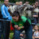 CAC kutyakiállítás (Fotó: Nagy Mária)