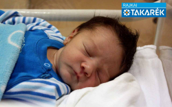 Cséfalvay Hunor László, Dunasziget