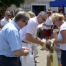 VII. Apró kezek, csodakertek Gyermek Kertépítő verseny