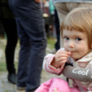 Szigetköz ízei, vármegye borai fesztivál / VÁRMEGYE SZÉPE - VÁRMEGYE HANGJA (Fotó: Horváth Attila)