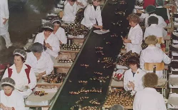 Bezárja diósgyőri gyárát a Nestlé