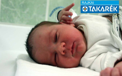 Lang Ármin, Mosonmagyaróvár